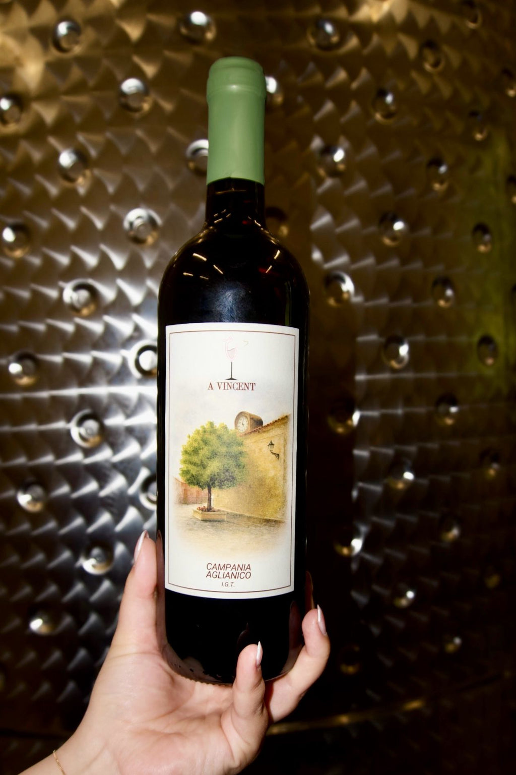 Campania Aglianico IGT 2024